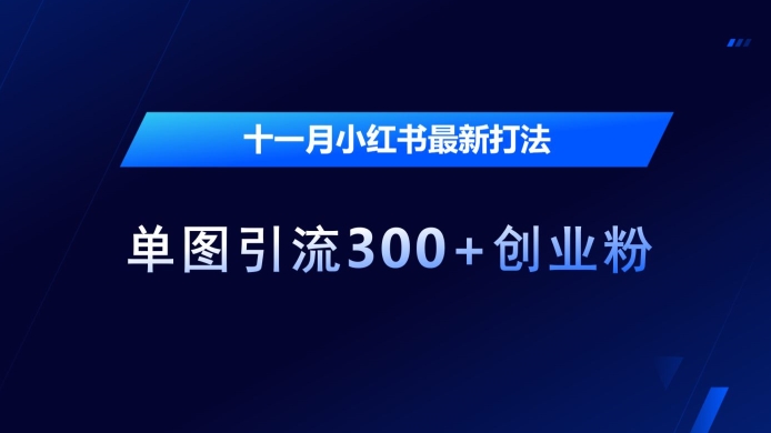 十一月小红书最新打法，单图引流300+创业粉【揭秘】-微众资源