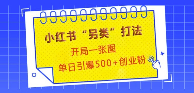 小红书“另类”打法，开局一张图，单日引爆500+精准创业粉【揭秘】-微众资源
