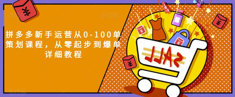 拼多多新手运营从0-100单策划课程，从零起步到爆单详细教程-微众资源