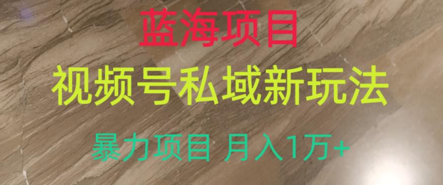 视频号私域新玩法，暴力项目月入1万+，蓝海项目，知道的人很少！-微众资源