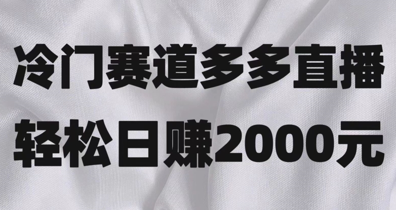 冷门赛道，在拼多多直播，简单念稿子就行，日收益2000＋的项目-微众资源