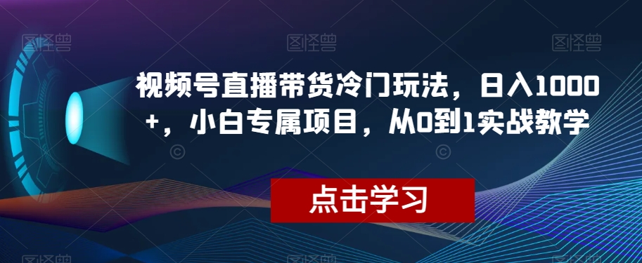 视频号直播带货冷门玩法，日入1000+，小白专属项目，从0到1实战教学【揭秘】-微众资源