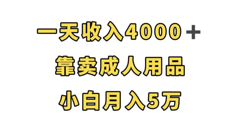 依靠卖成人用品，一天收入4000+，月入5万太简单了-微众资源