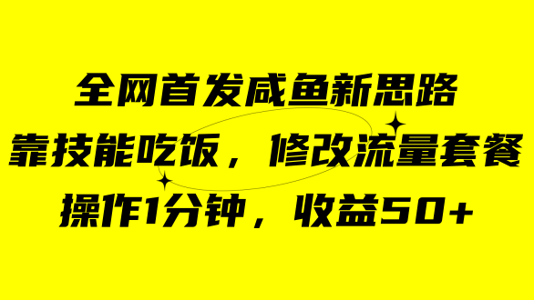 咸鱼冷门玩法，靠“技能吃饭”，操作10分钟，收益500+，修改流量套餐项目-微众资源