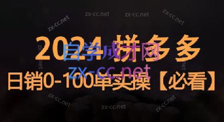 恒哥·2024拼多多日销0-100单实操-微众资源