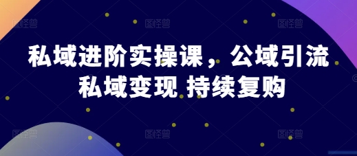 私域进阶实操课，公域引流 私域变现 持续复购-微众资源