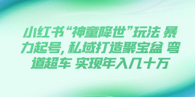 小红书“神童降世”玩法 暴力起号,私域打造聚宝盆 弯道超车 实现年入几十万-微众资源