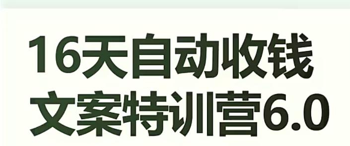 16天自动收钱文案特训营6.0，学会儿每天自动咔咔收钱-微众资源