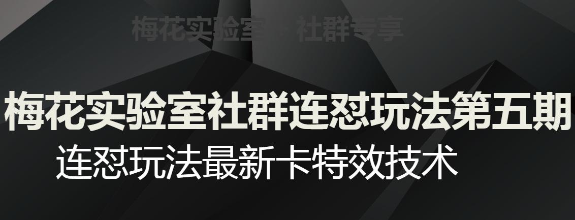 梅花实验室社群连怼玩法第五期，视频号连怼玩法最新卡特效技术-微众资源