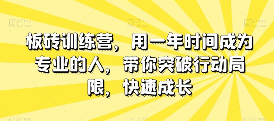 板砖训练营，用一年时间成为专业的人，带你突破行动局限，快速成长-微众资源