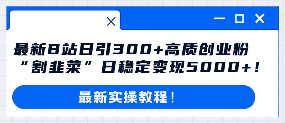 哔哩哔哩（B站）引流高质量创业粉教程：日引300+，“割韭菜”日稳定变现5000+！-微众资源