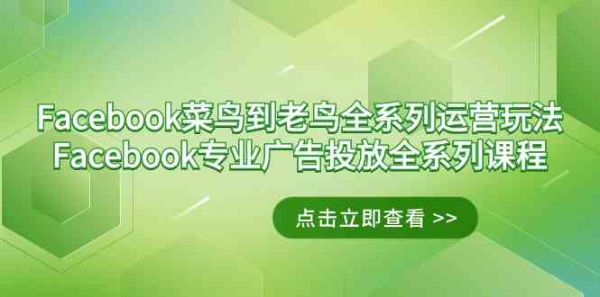 Facebook-菜鸟到老鸟全系列运营玩法+Facebook-专业广告投放全系列课程-微众资源