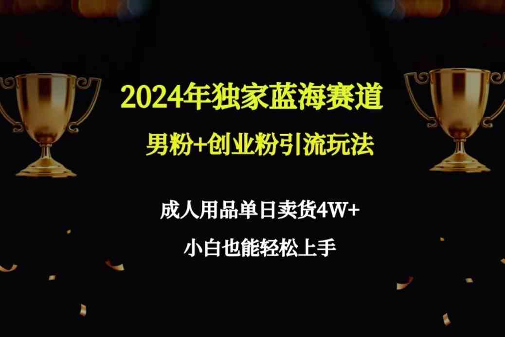 2024年独家蓝海赛道男粉+创业粉引流玩法，成人用品单日卖货4W+保姆教程-微众资源