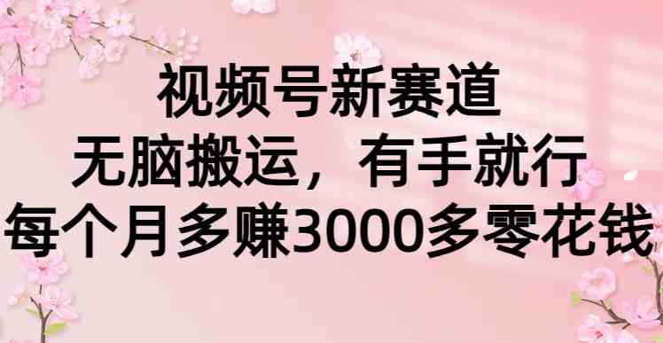 视频号新赛道，无脑搬运，有手就行，每个月多赚3000多零花钱-微众资源