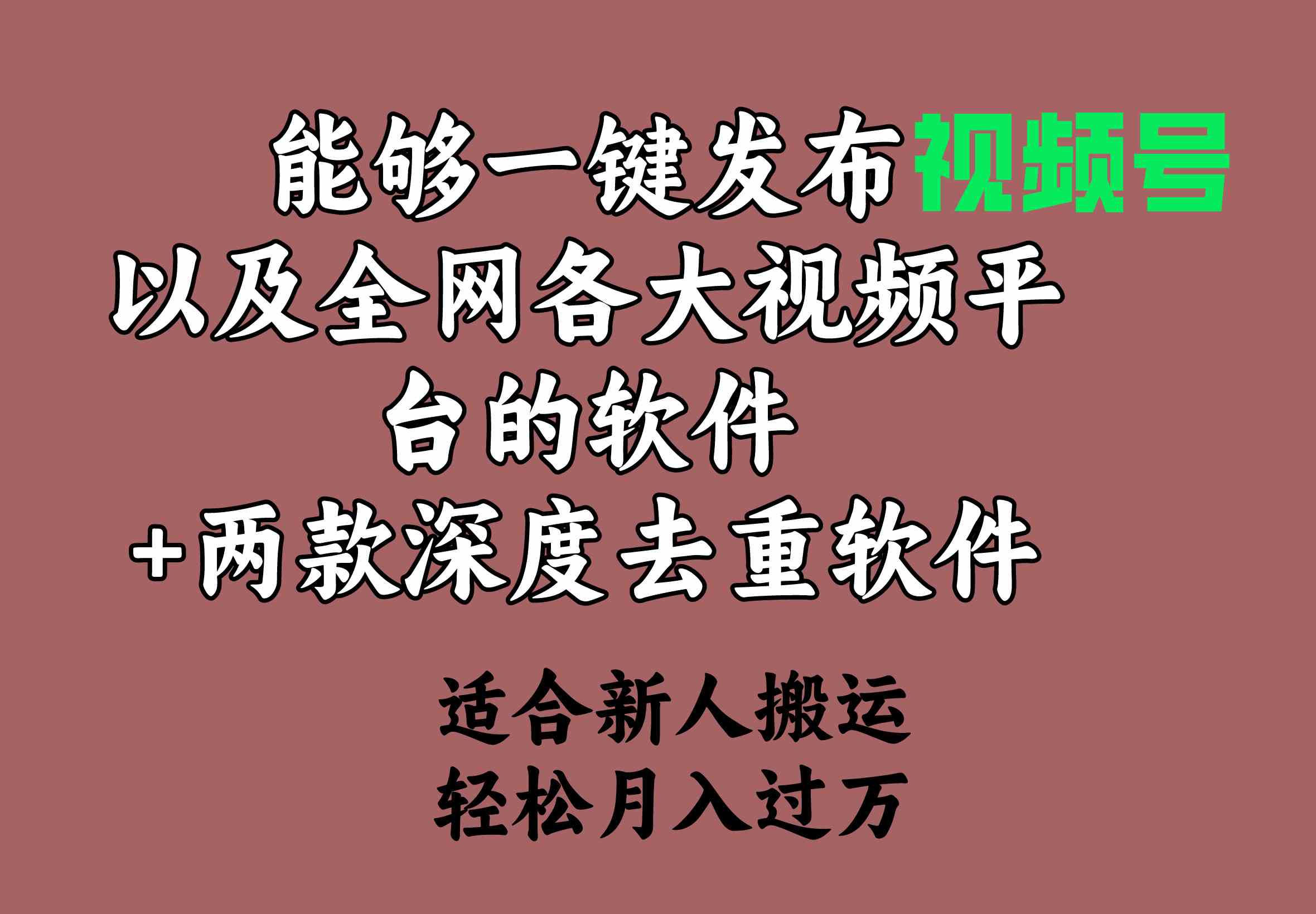 能够一键发布视频号以及全网各大主流平台+两款去深度去重软件，适合新人搬运，轻容月入过万-微众资源