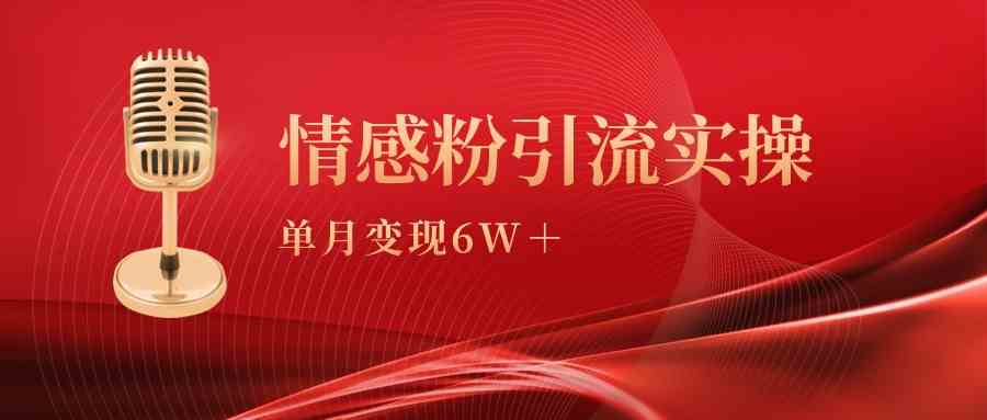 单月变现6w+，情感粉引流变现实操课-微众资源