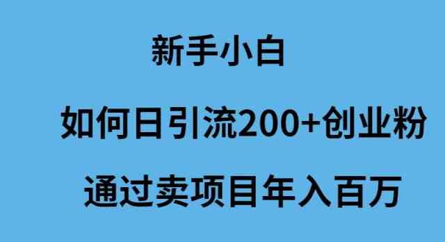 新手小白如何日引流200+创业粉通过卖项目年入百万-微众资源