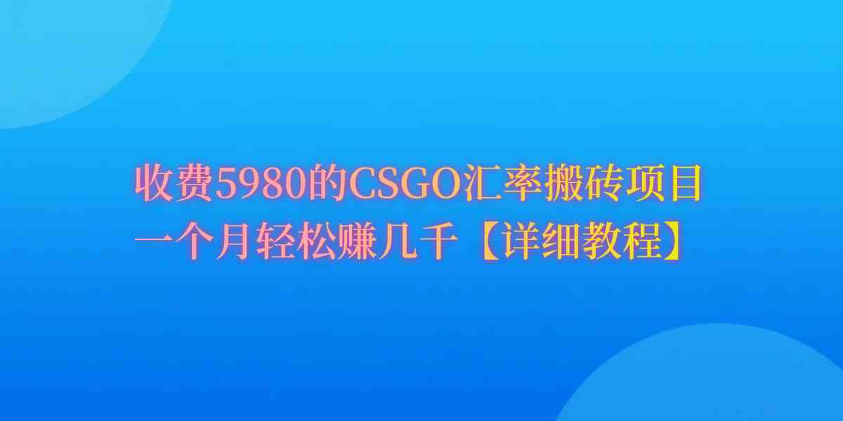 CSGO装备搬砖，月综合收益率高达60%-微众资源