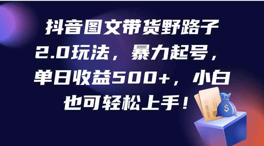 抖音图文带货野路子2.0玩法，暴力起号，单日收益500+，小白也可轻松上手-微众资源