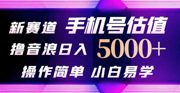 抖音不出境直播【手机号估值】最新撸音浪，日入5000+，简单易学，适合小白-微众资源