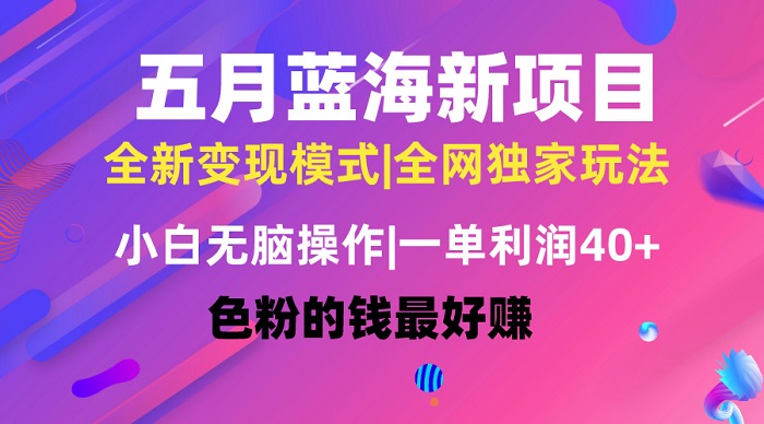 五月蓝海项目全新玩法，小白无脑操作，一天几分钟，矩阵操作，月入4万+-微众资源