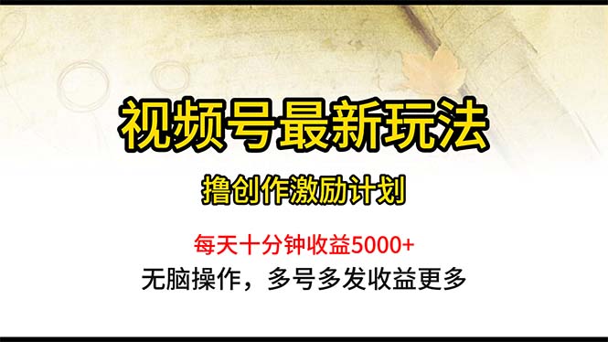 视频号最新玩法，每日一小时月入5000+-微众资源