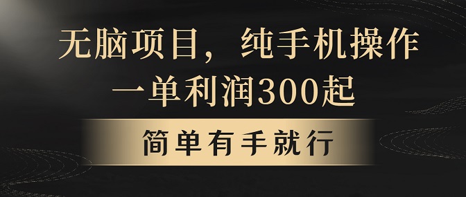 无脑项目，一单几百块，轻松月入5w+，看完就能直接操作-微众资源