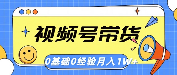 视频号轻创业带货，零基础，零经验，月入1w+-微众资源