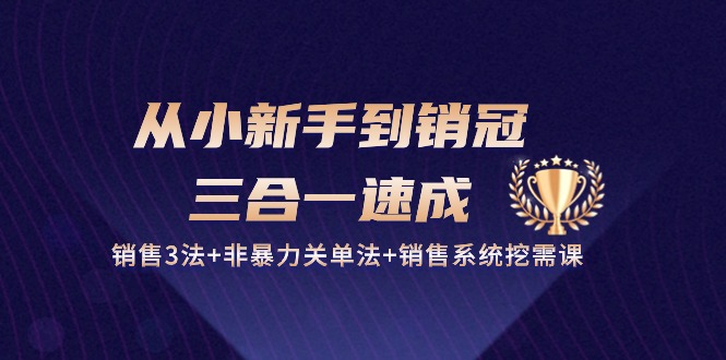 从小新手到销冠，三合一速成：销售3法+非暴力关单法+销售系统挖需课 (27节)-微众资源