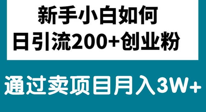 新手小白日引流200+创业粉,通过卖项目月入3W+-微众资源