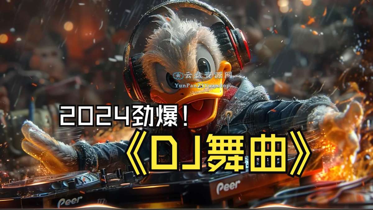2024年全网劲爆车载中文DJ舞曲合集-微众资源