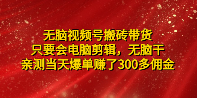 无脑视频号搬砖带货，只要会电脑剪辑，无脑干，亲测当天爆单赚了300多佣金-微众资源