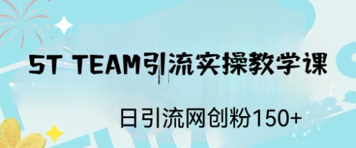 ST TEAM引流实操课，日引流网创粉100+-微众资源