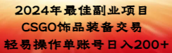 2024年最佳副业项目 CSGO饰品装备交易 轻易操作单账号日入200+-微众资源
