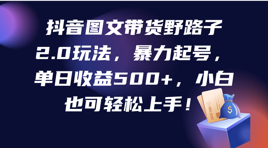 抖音图文带货野路子2.0玩法，暴力起号，单日收益500+，小白也可轻松上手！-微众资源