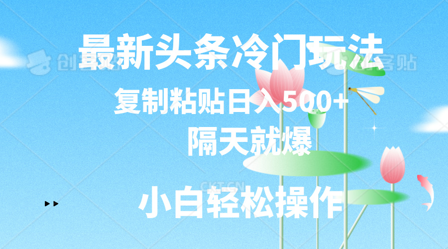 最新头条冷门玩法，隔天就爆，复制粘贴日入500+-微众资源