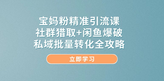 宝妈粉精准引流课，社群猎取+闲鱼爆破，私域批量转化全攻略-微众资源