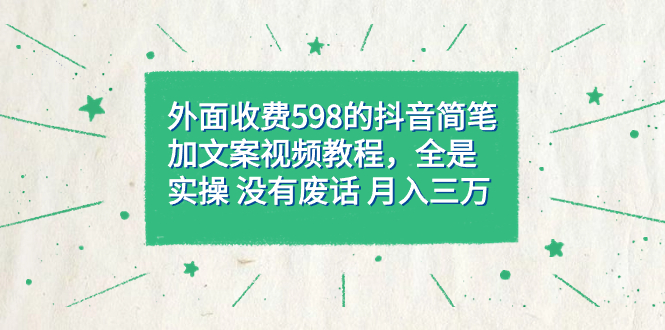 外面收费598抖音简笔加文案教程，全是实操 没有废话 月入三万（教程+资料）-微众资源