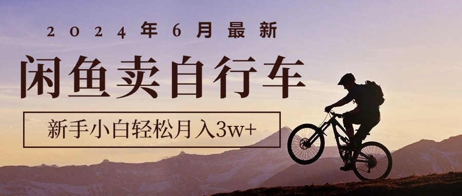 2024年6月最新闲鱼卖自行车，新手小白轻松月入3w+项目-微众资源