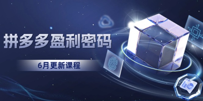 拼多多盈利密码：从烧钱推广到印钞模型，底层逻辑重构指南（6月更新）-微众资源