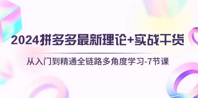 2024拼多多 最新理论+实战干货，从入门到精通全链路多角度学习-7节课-微众资源