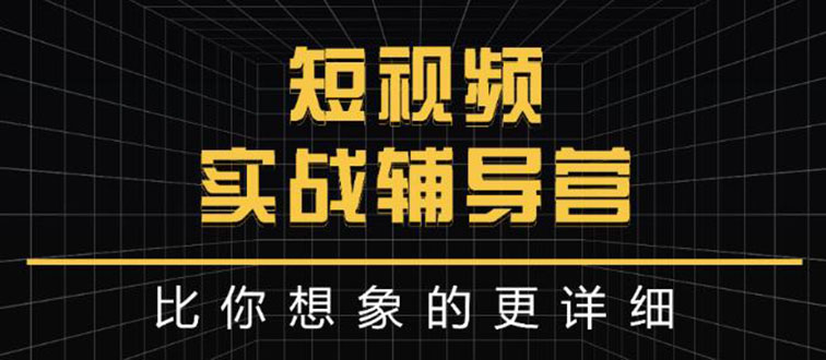 日入6万级别大佬教你做短视频实战：比你想象的更详细-微众资源