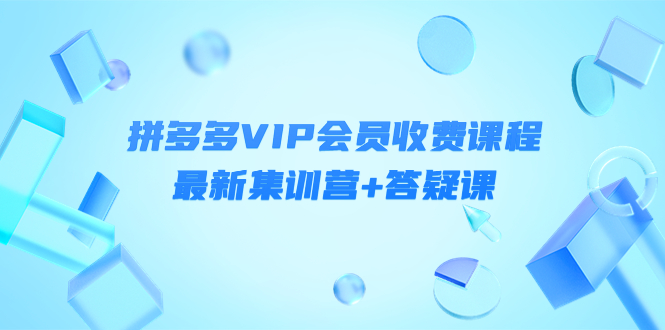 某社群·拼多多VIP会员收费课程，最新集训营+答疑课-价值3299元-微众资源