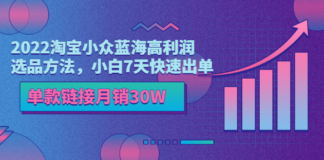 2022淘宝小众蓝海高利润选品方法，小白7天快速出单，单款链接月销30W-微众资源