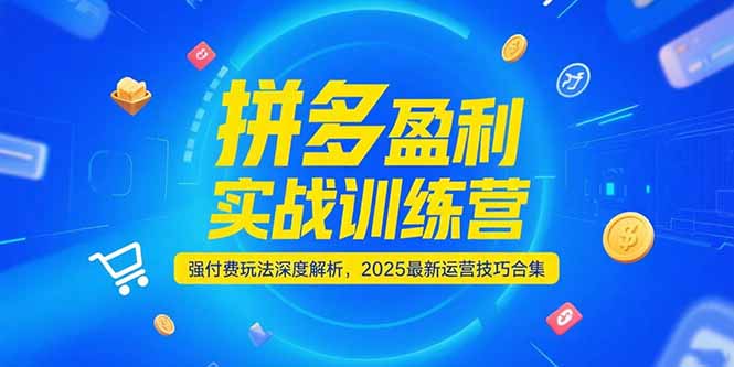 拼多多盈利实战训练营，强付费玩法深度解析，2025运营技巧合集-更新6月-微众资源