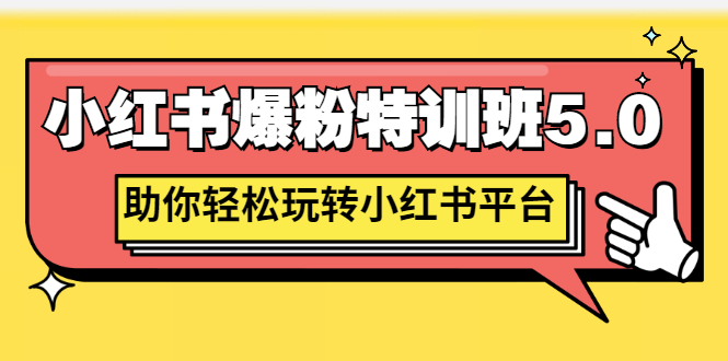 小红书爆粉特训班5.0，助你轻松玩转小红书平台价值1380元-微众资源