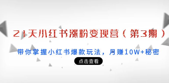 21天小红书涨粉变现营：带你掌握小红书爆款玩法，月赚10W+秘密-微众资源