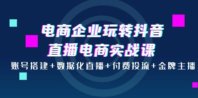 电商企业玩转抖音直播电商实战课：账号搭建+数据化直播+付费投流+金牌主播-微众资源