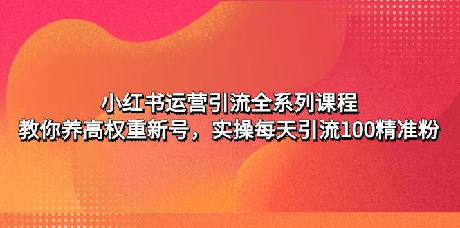 小红书运营引流全系列课程：教你养高权重新号，实操每天引流100精准粉-微众资源