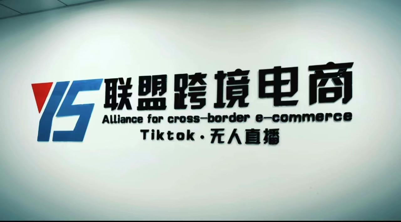 Tiktok无人直播，不出镜不剪辑不拍摄不发货无售后的跨境短视频躺赚玩法-微众资源